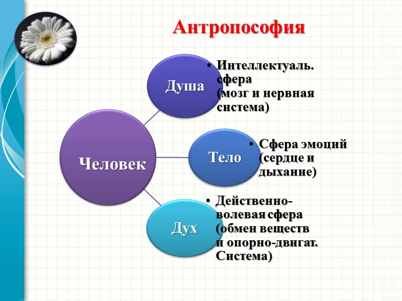 Антропософия    Человек